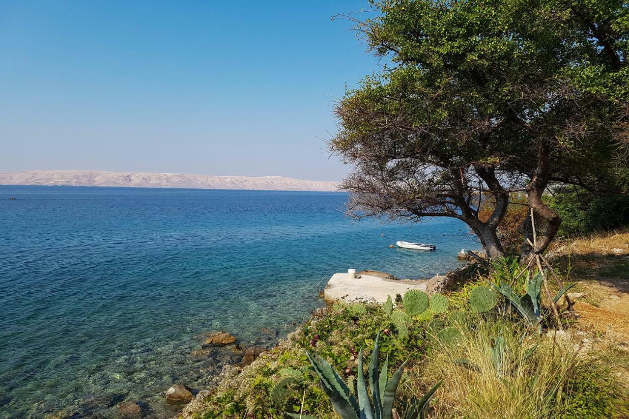 Beachfront House Ivana With Pool - Renovated 2025 Cesarica Exterior foto