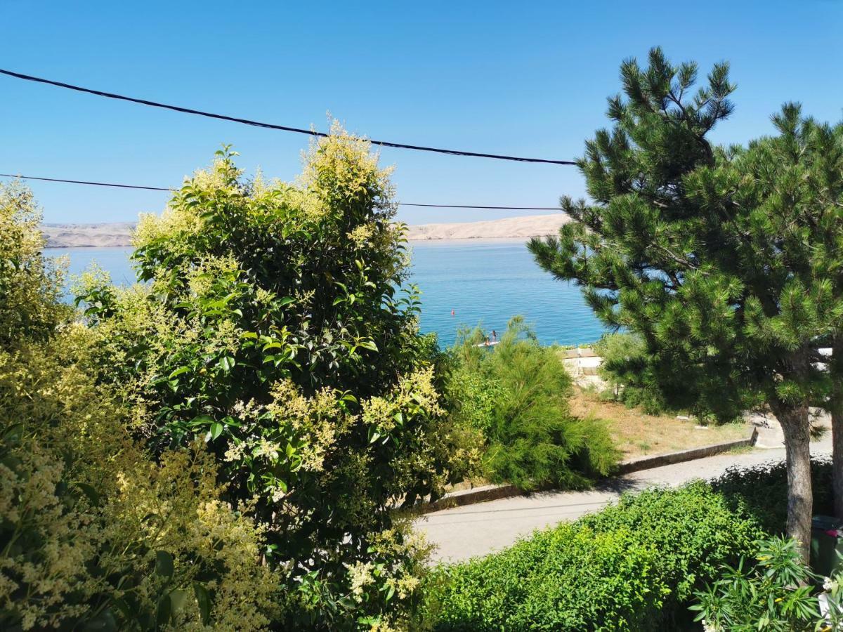Beachfront House Ivana With Pool - Renovated 2025 Cesarica Exterior foto